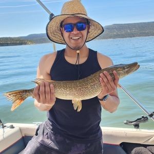 Meet your Posher, Orlando